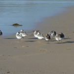 Cornwall 5