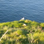 Cornwall_coast 6