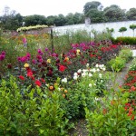 Heligan 2