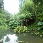 Heligan 5